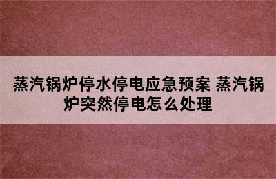 蒸汽锅炉停水停电应急预案 蒸汽锅炉突然停电怎么处理